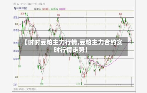 【时时豆粕主力行情,豆粕主力合约实时行情走势】