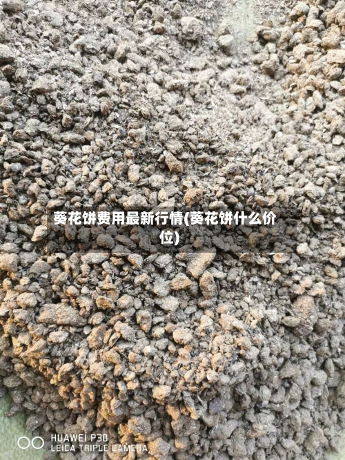 葵花饼费用最新行情(葵花饼什么价位)-第2张图片