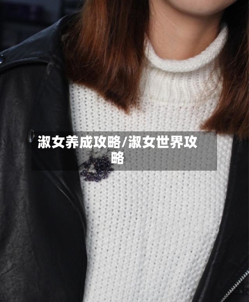 淑女养成攻略/淑女世界攻略