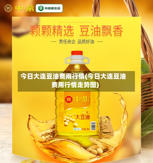 今日大连豆油费用行情(今日大连豆油费用行情走势图)