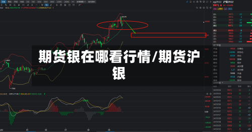 期货银在哪看行情/期货沪银