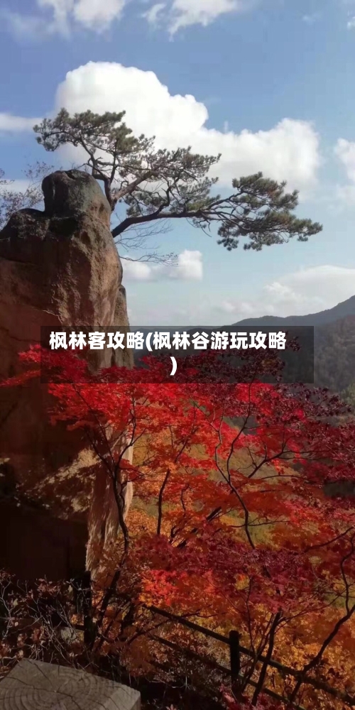 枫林客攻略(枫林谷游玩攻略)-第3张图片