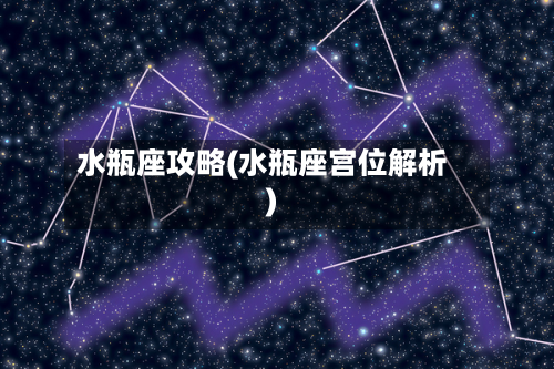 水瓶座攻略(水瓶座宫位解析)-第2张图片