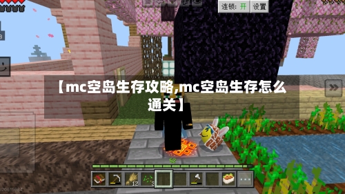 【mc空岛生存攻略,mc空岛生存怎么通关】-第2张图片