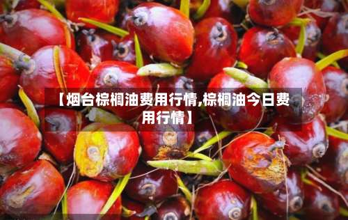 【烟台棕榈油费用行情,棕榈油今日费用行情】
