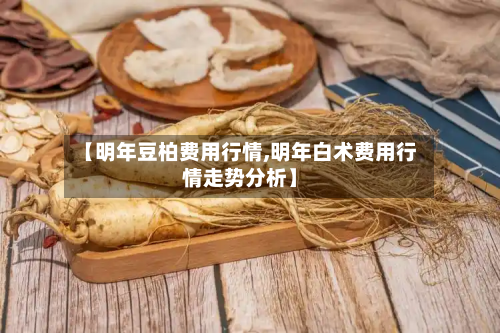 【明年豆柏费用行情,明年白术费用行情走势分析】