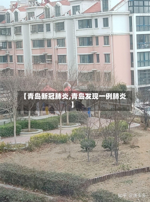 【青岛新冠肺炎,青岛发现一例肺炎】-第3张图片