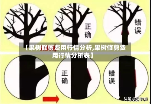 【果树修剪费用行情分析,果树修剪费用行情分析表】-第2张图片