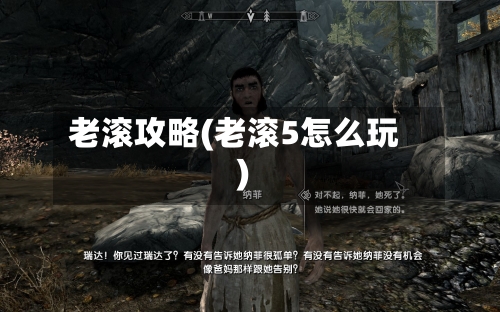 老滚攻略(老滚5怎么玩)
