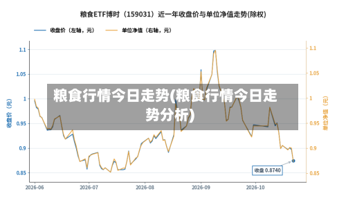 粮食行情今日走势(粮食行情今日走势分析)