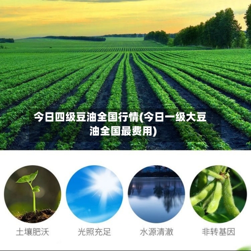 今日四级豆油全国行情(今日一级大豆油全国最费用)-第2张图片
