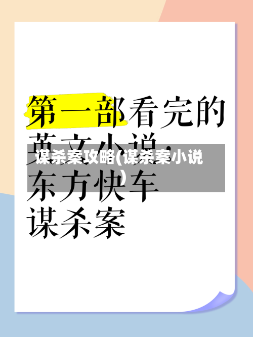 谋杀案攻略(谋杀案小说)-第2张图片