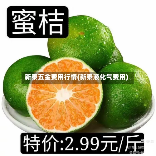 新泰五金费用行情(新泰液化气费用)