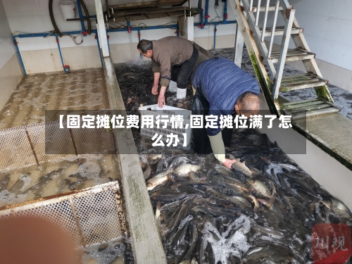 【固定摊位费用行情,固定摊位满了怎么办】