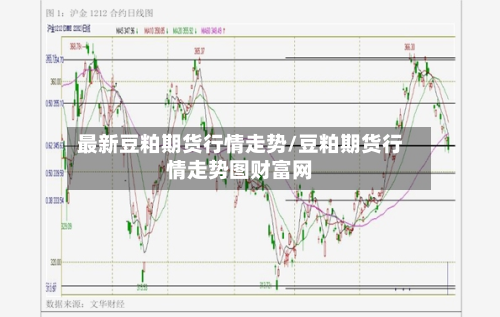 最新豆粕期货行情走势/豆粕期货行情走势图财富网-第3张图片