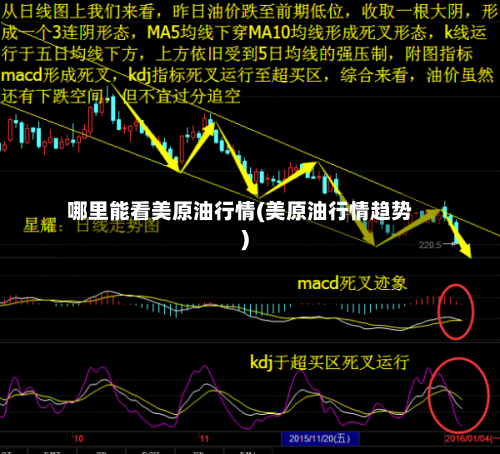 哪里能看美原油行情(美原油行情趋势)-第3张图片