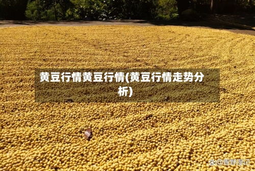 黄豆行情黄豆行情(黄豆行情走势分析)