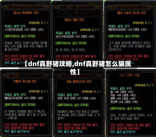 【dnf真野猪攻略,dnf真野猪怎么骗属性】-第2张图片