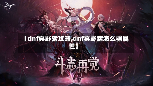 【dnf真野猪攻略,dnf真野猪怎么骗属性】-第3张图片