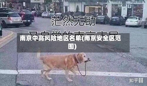 南京中高风险地区名单(南京安全区范围)-第3张图片