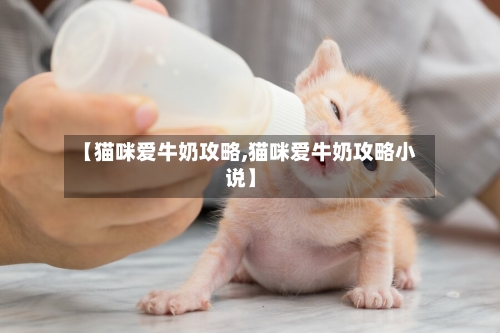 【猫咪爱牛奶攻略,猫咪爱牛奶攻略小说】-第2张图片