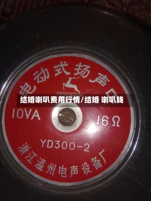 结婚喇叭费用行情/结婚 喇叭钱