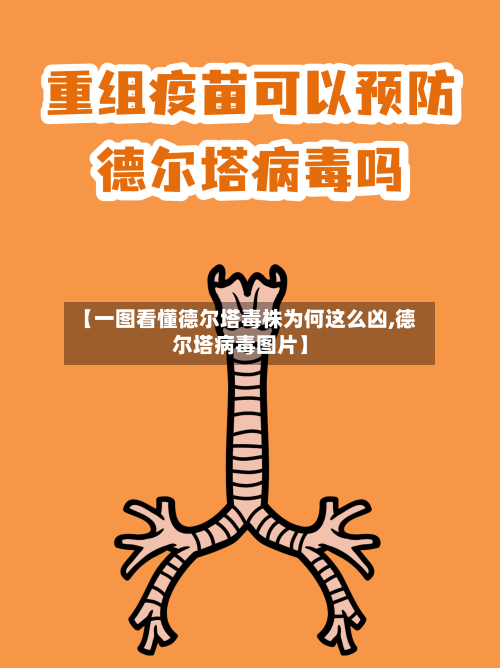 【一图看懂德尔塔毒株为何这么凶,德尔塔病毒图片】-第3张图片