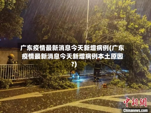广东疫情最新消息今天新增病例(广东疫情最新消息今天新增病例本土原因?)-第3张图片