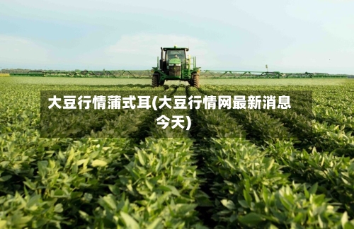 大豆行情蒲式耳(大豆行情网最新消息今天)
