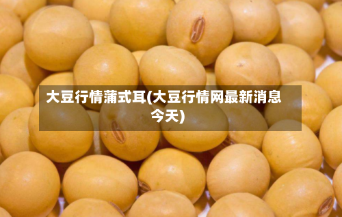 大豆行情蒲式耳(大豆行情网最新消息今天)-第2张图片