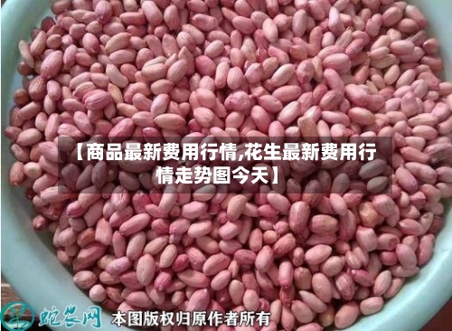【商品最新费用行情,花生最新费用行情走势图今天】-第3张图片