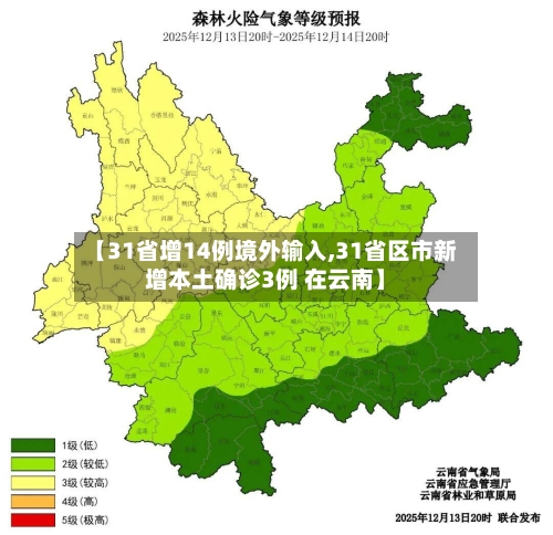 【31省增14例境外输入,31省区市新增本土确诊3例 在云南】-第2张图片