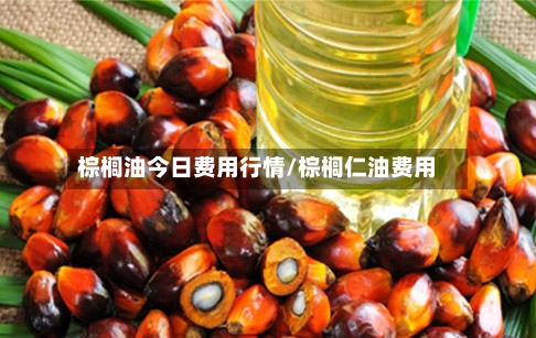 棕榈油今日费用行情/棕榈仁油费用