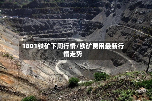 1801铁矿下周行情/铁矿费用最新行情走势-第2张图片