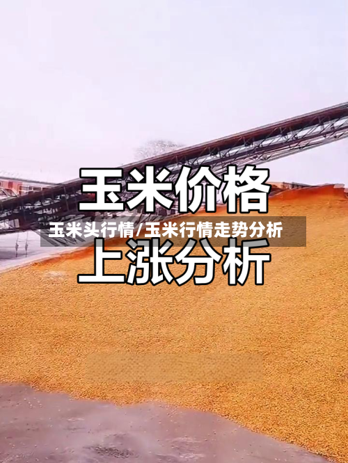 玉米头行情/玉米行情走势分析-第2张图片