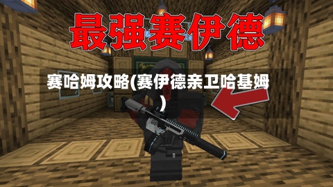 赛哈姆攻略(赛伊德亲卫哈基姆)-第2张图片