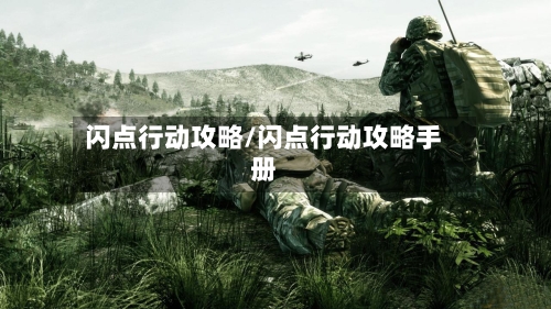 闪点行动攻略/闪点行动攻略手册-第2张图片