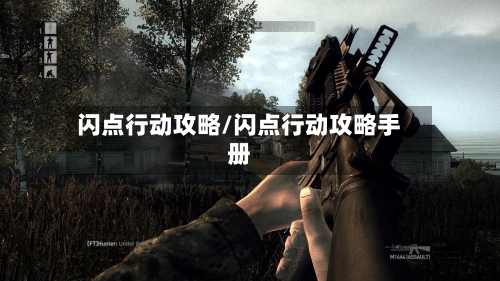闪点行动攻略/闪点行动攻略手册