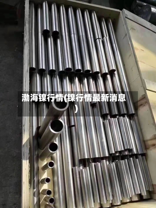 渤海镍行情(镍行情最新消息)-第3张图片