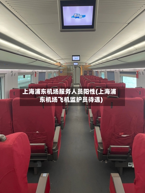 上海浦东机场服务人员阳性(上海浦东机场飞机监护员待遇)