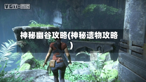 神秘幽谷攻略(神秘遗物攻略)-第2张图片