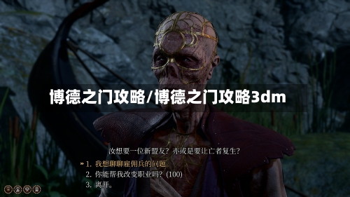 博德之门攻略/博德之门攻略3dm