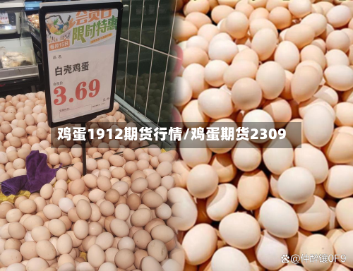 鸡蛋1912期货行情/鸡蛋期货2309-第2张图片
