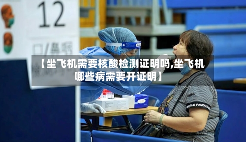【坐飞机需要核酸检测证明吗,坐飞机哪些病需要开证明】-第2张图片