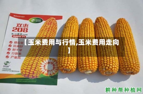 【玉米费用与行情,玉米费用走向】