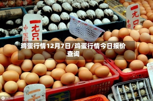 鸡蛋行情12月7日/鸡蛋行情今日报价查询