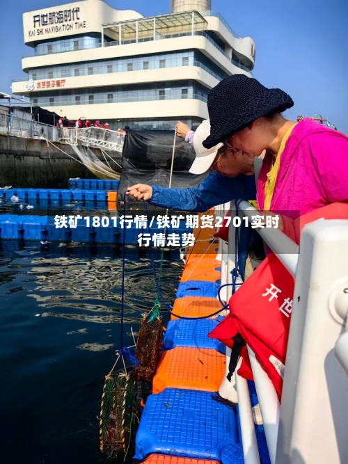 铁矿1801行情/铁矿期货2701实时行情走势-第2张图片