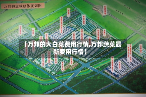 【万邦的大白菜费用行情,万邦蔬菜最新费用行情】