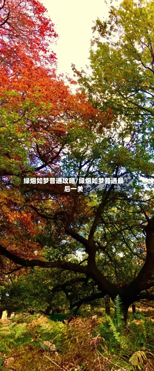 绿烟如梦普通攻略/绿烟如梦普通最后一关-第3张图片