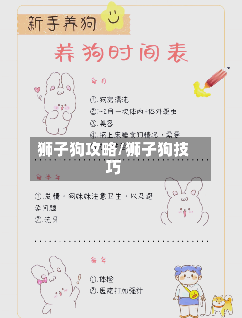 狮子狗攻略/狮子狗技巧-第2张图片